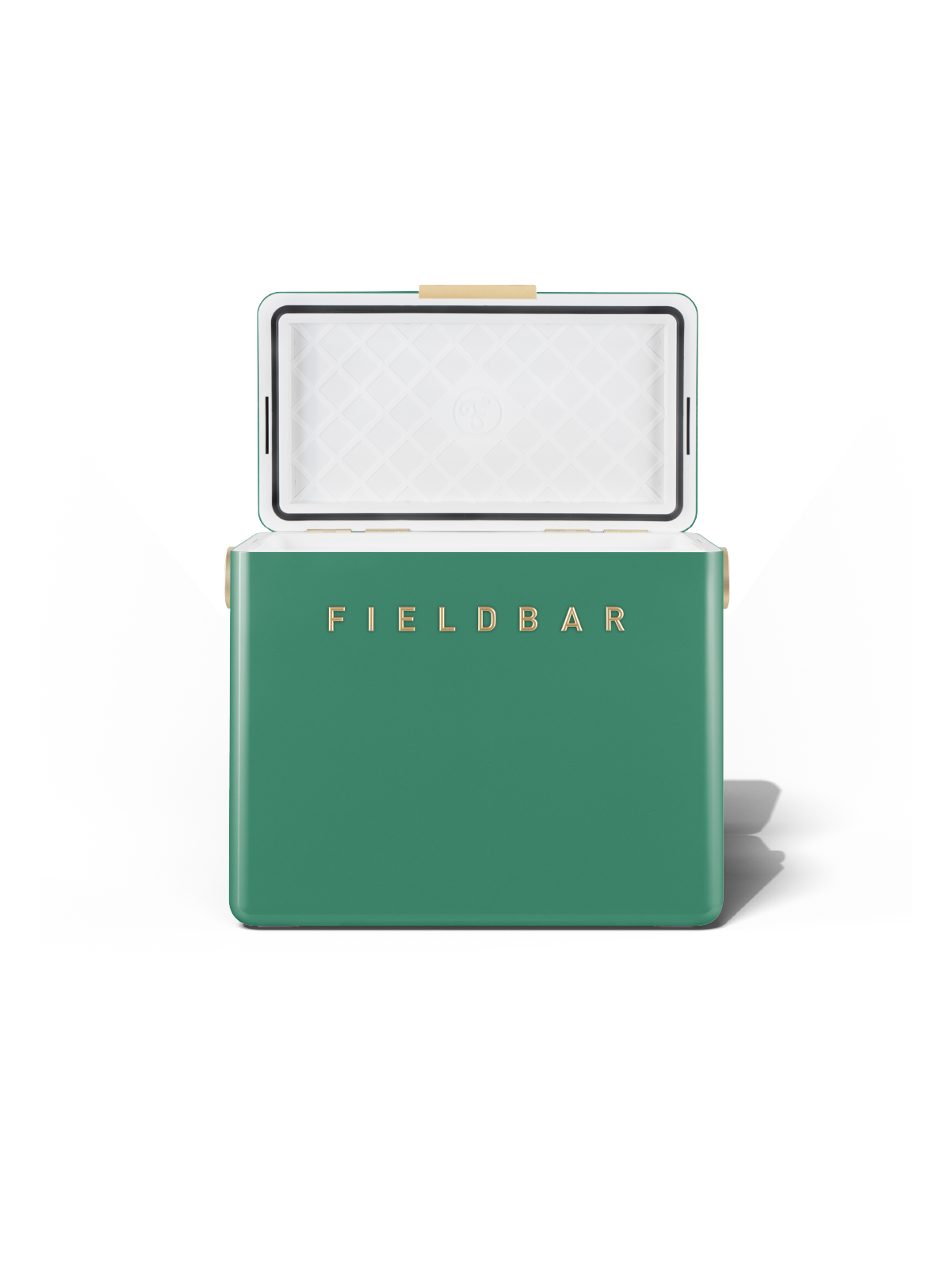 Fieldbar Gin Trunk Parisian Green – luxury gin cooler Cape Town