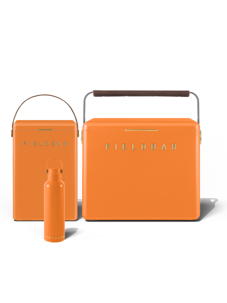 orange box Orange Steel Enclosure Luxn 800x600x250 For Sale | Brite Lighting