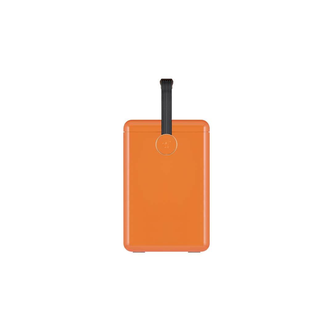 Gin Trunk / Orchard Orange